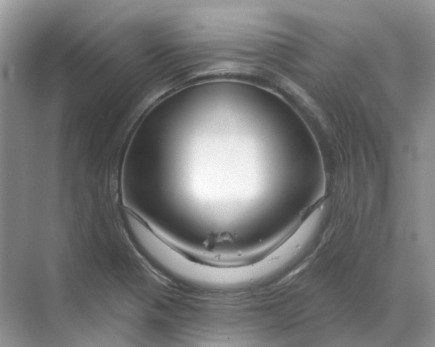 X0000070181321200606162112