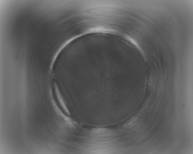 X0000070181323200606162112