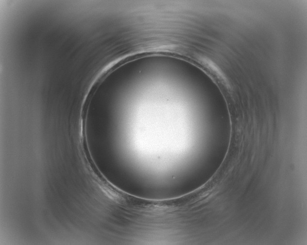 X0000070181324200606162112