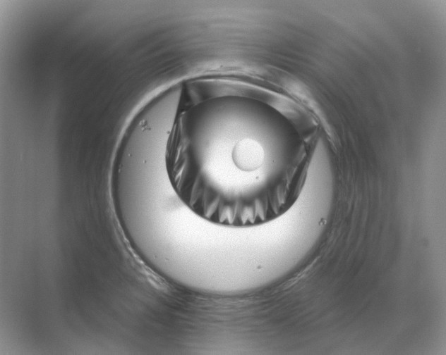 X0000070181328200606162112