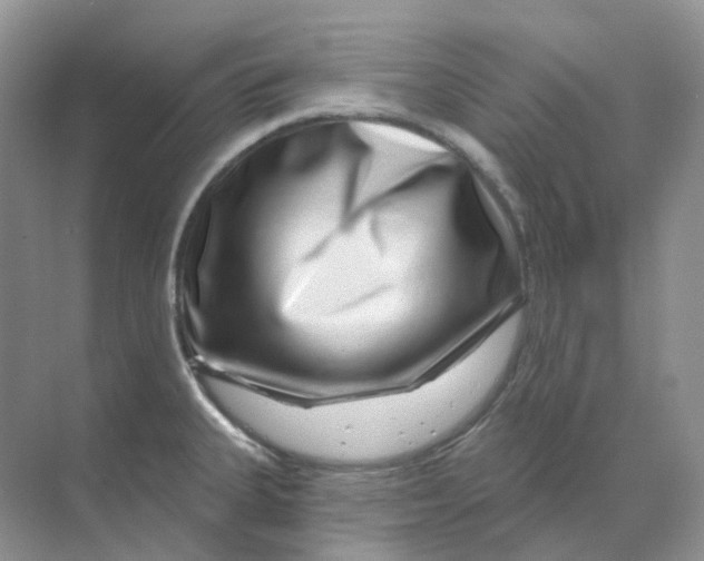 X0000070181335200606162112
