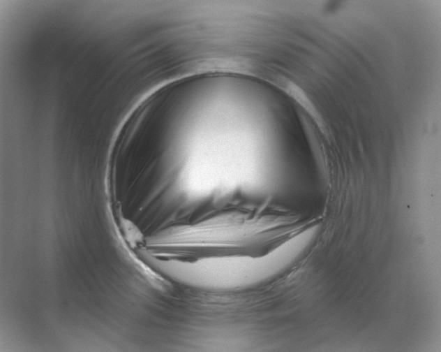 X0000070181339200606162112
