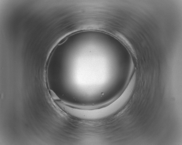X0000070181340200606162112