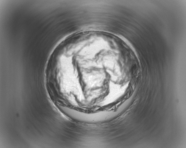 X0000070181341200606162112