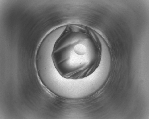 X0000070181342200606162112