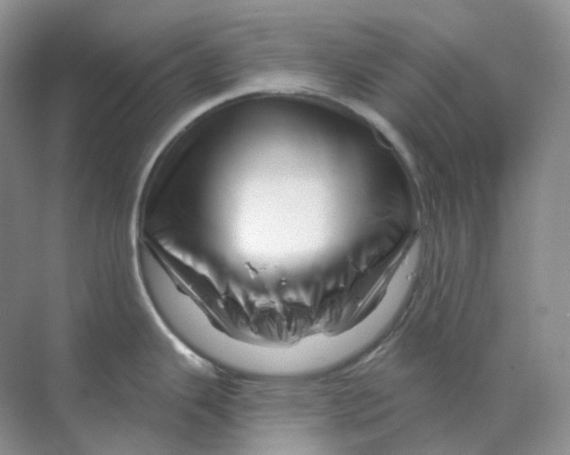X0000070181343200606162112