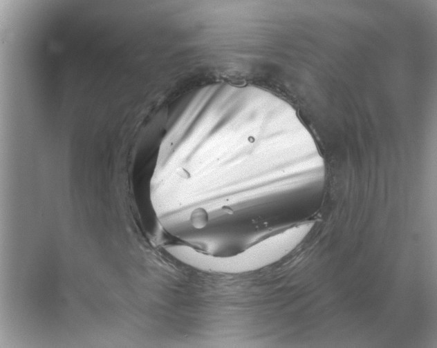 X0000070181345200606162111