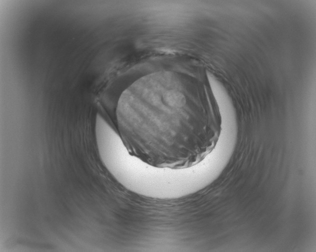 X0000070181347200606162111