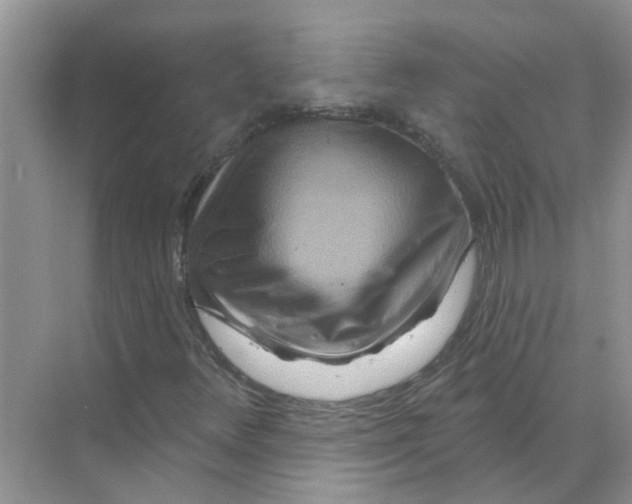 X0000070181348200606162111