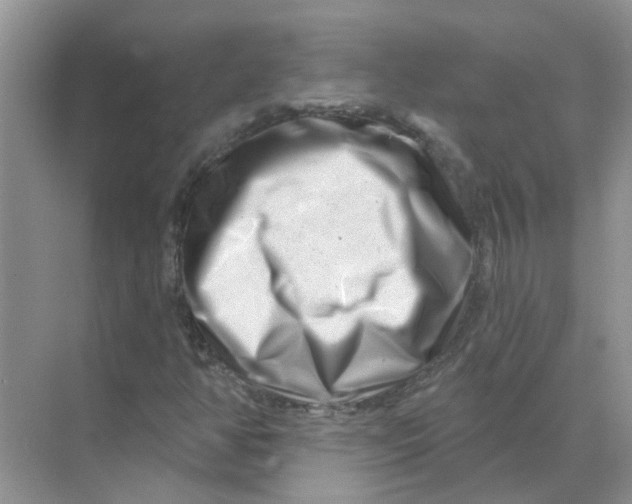 X0000070181350200606162111