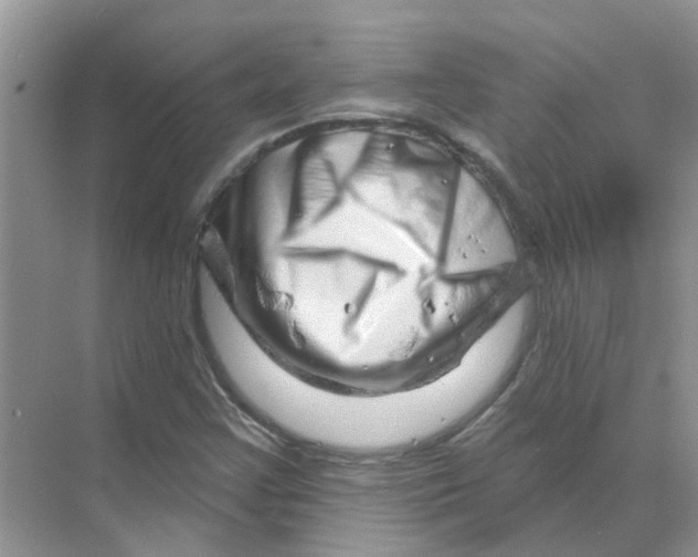 X0000070181355200606162111