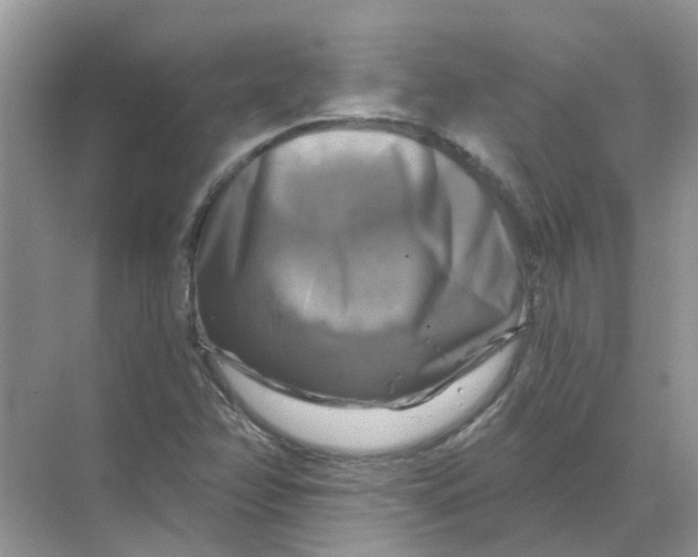 X0000070181358200606162111
