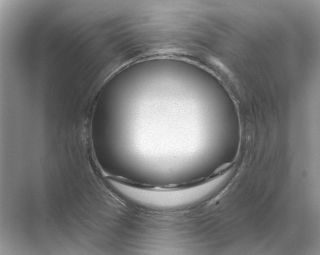 X0000070181361200606162111