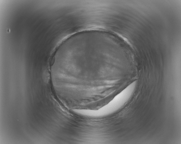 X0000070181363200606162111