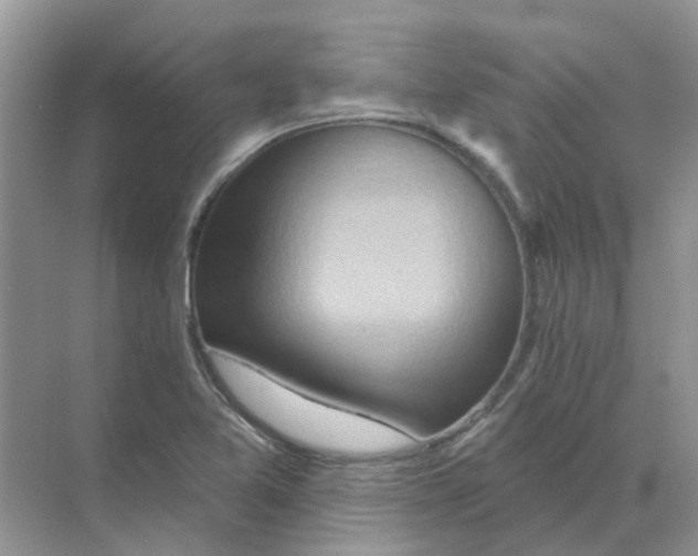 X0000070181365200606162111