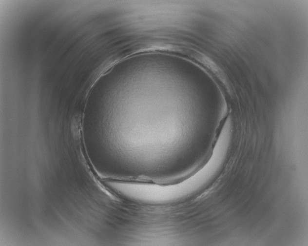 X0000070181377200606162111