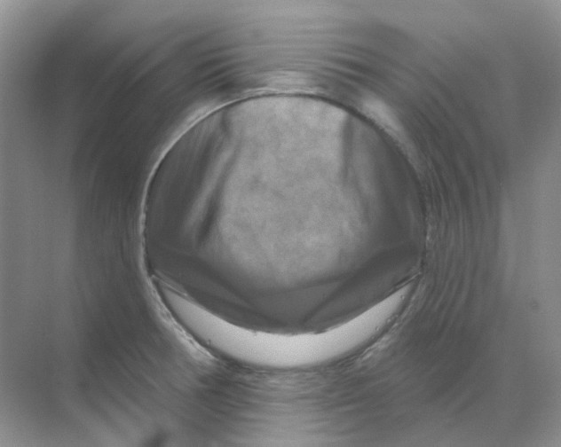 X0000070181378200606162111