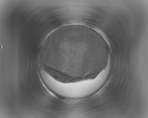 X0000070181385200606162111