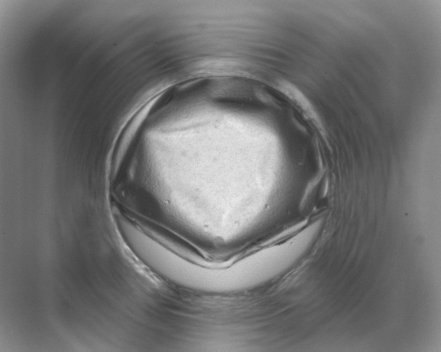 X0000070181386200606162111