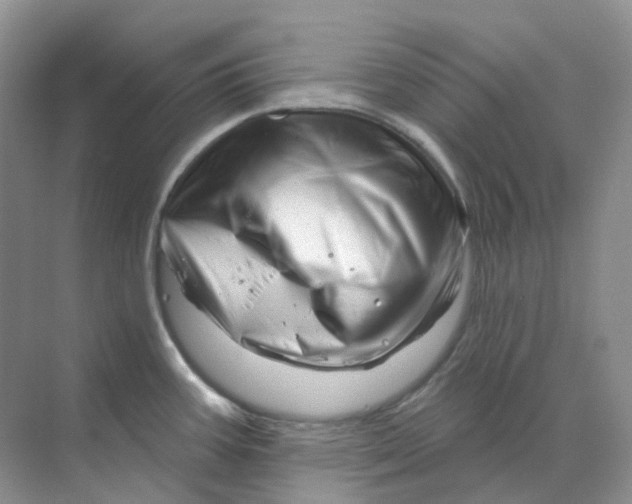 X0000070181387200606162110