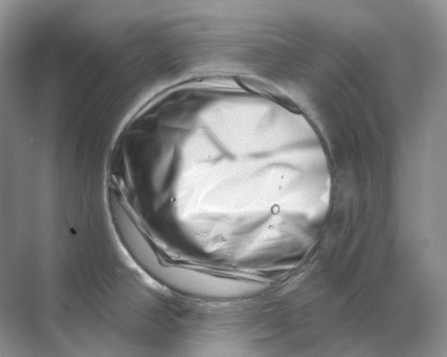 X0000070181390200606162110