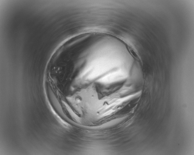 X0000070181391200606162110