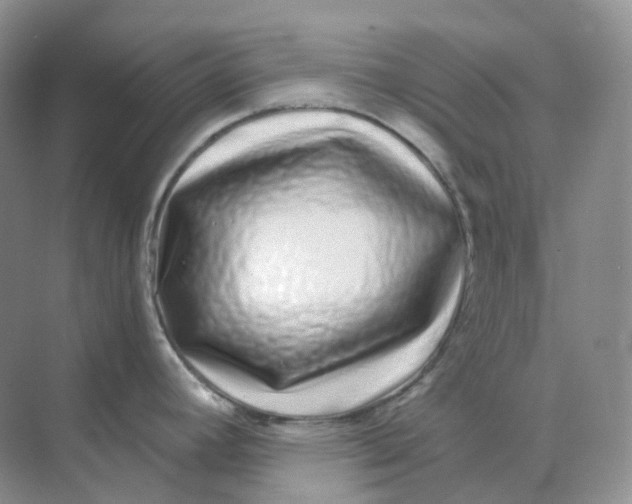 X0000070181392200606162110