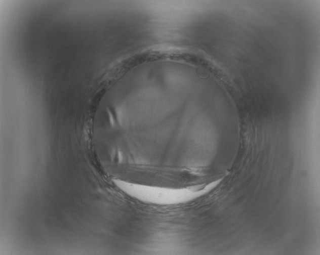 X0000070181397200606162110
