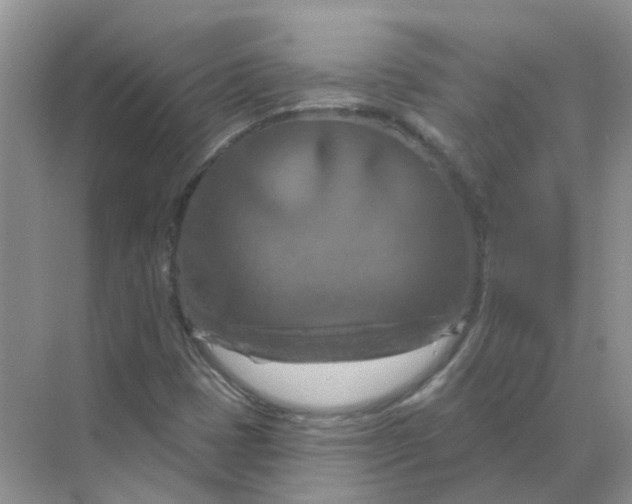 X0000070181401200606162110
