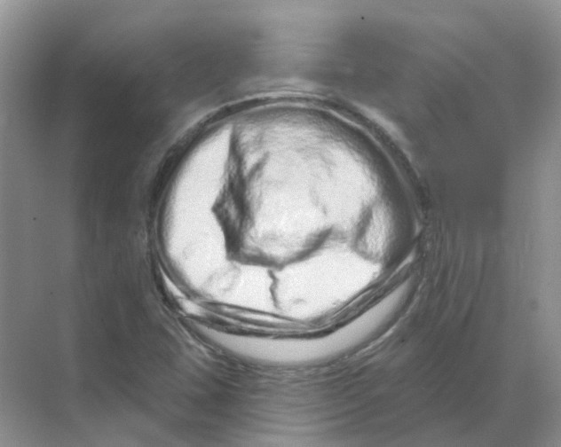 X0000070181407200606162110