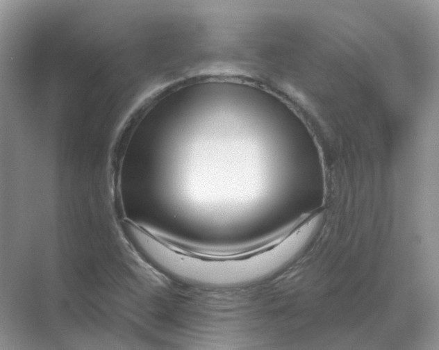 X0000070181408200606162110