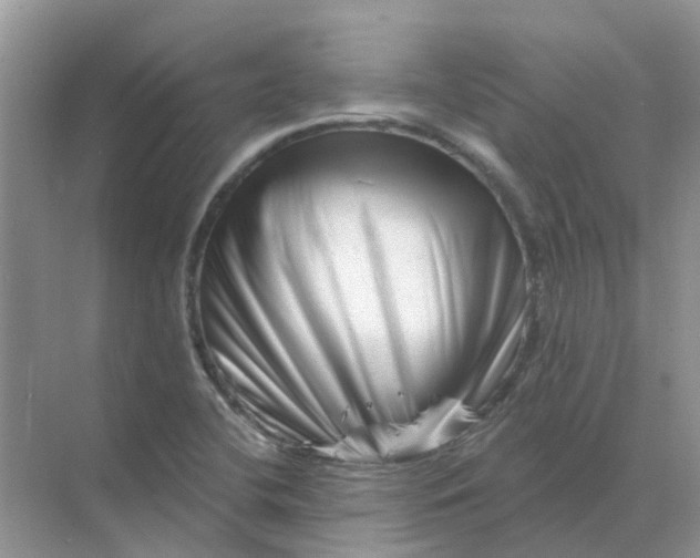 X0000070181412200606162110