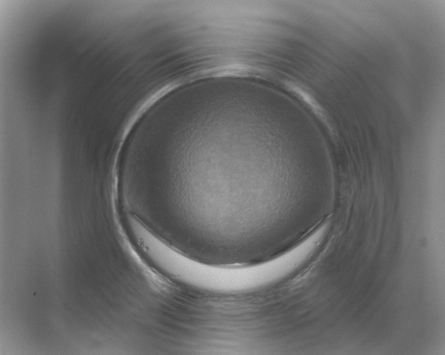 X0000070181418200606162110