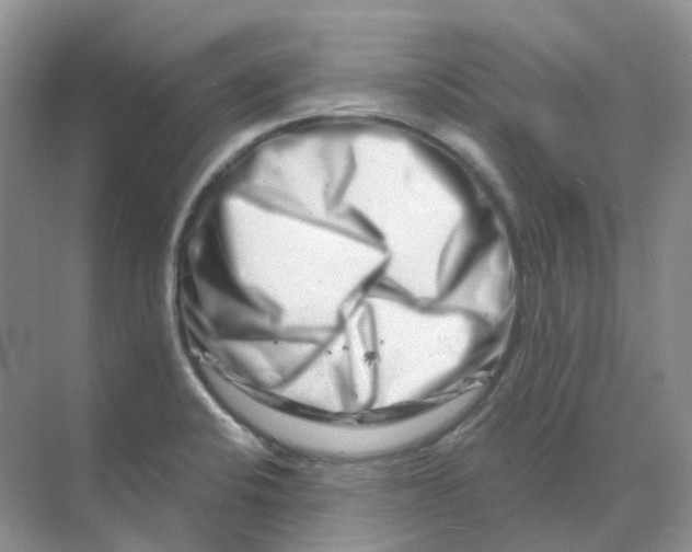 X0000070181424200606162110