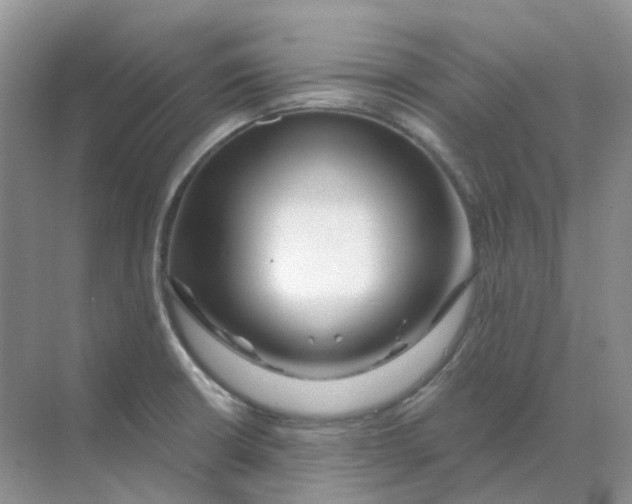 X0000070181426200606162110