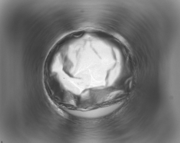 X0000070181431200606162110