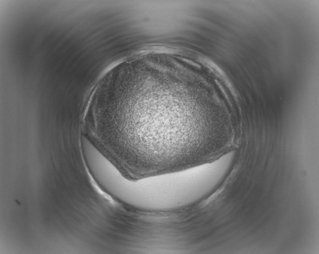 X0000070181433200606162110