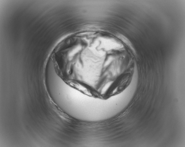 X0000070181435200606162110