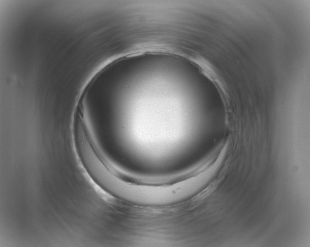 X0000070181438200606162110