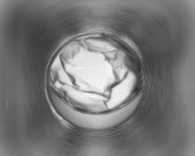X0000070181439200606162110