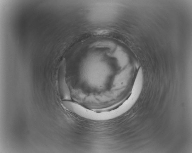 X0000070181441200606162110
