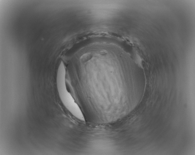 X0000070181445200606162109