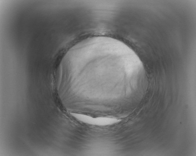 X0000070181446200606162109