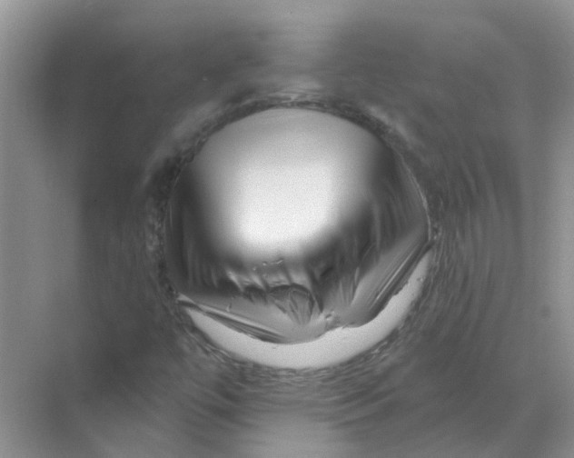 X0000070181447200606162109