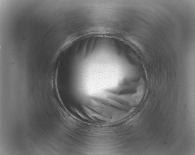 X0000070181451200606162109