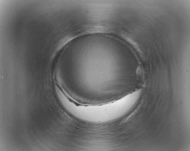 X0000070181453200606162109