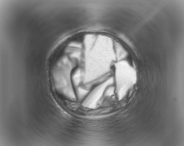 X0000070181456200606162109