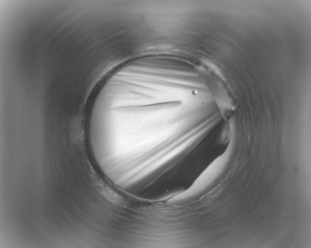 X0000070181458200606162109