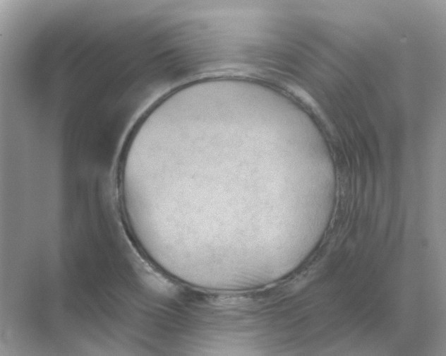 X0000070181466200606162109