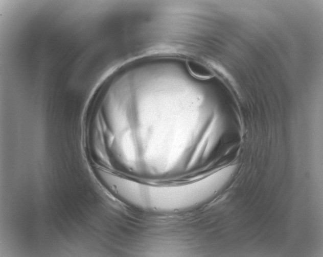 X0000070181467200606162109